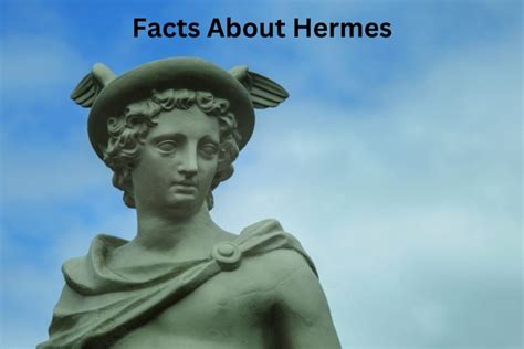 fulfillment hermes|Facts & Figures .